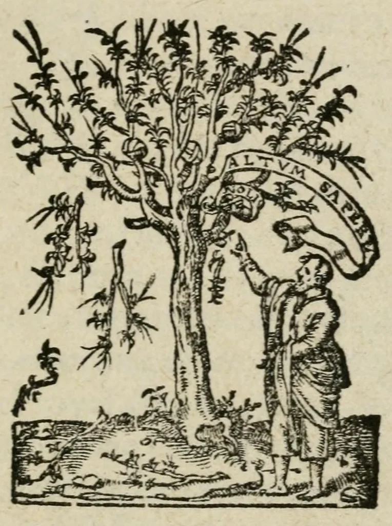 An illustration from Le sacre et covronnement du roy Henry deuxieme de ce nom : [faict & celebré en la ville de Reims en Champaigne], 1547, leaf 9