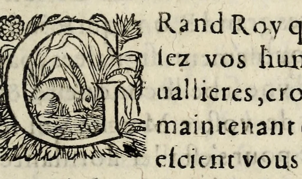 An illustration from Les adievx de la France, à Madame sœur du Roy: sur son voyage en Espagne., 1615, leaf 13