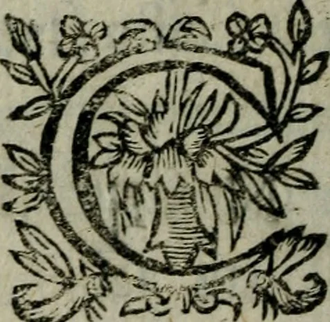 An illustration from Les Adventures estranges de Lycidas cyrien et Cléorithe ehodienne : contenant la conversion de l'un & la réprobation de l'autre, 1630, leaf 301
