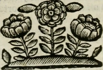 An illustration from Le sagre memorie di Ravenna antica ..., 1664, leaf 161