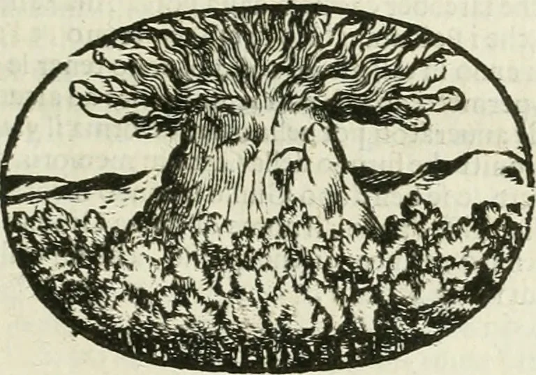 An illustration from Le sagre memorie di Ravenna antica ..., 1664, leaf 164