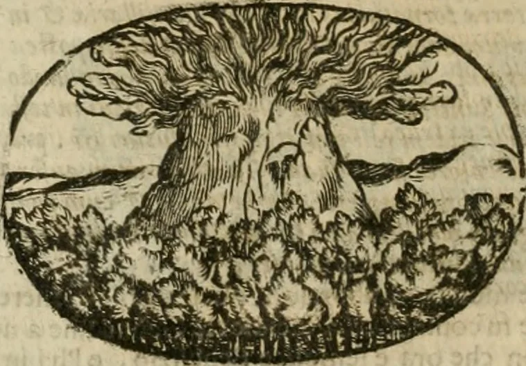 An illustration from Le sagre memorie di Ravenna antica ..., 1664, leaf 203