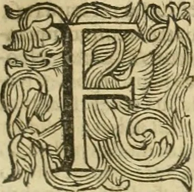 An illustration from Le sagre memorie di Ravenna antica ..., 1664, leaf 204