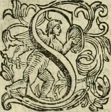 An illustration from Le sagre memorie di Ravenna antica ..., 1664, leaf 246