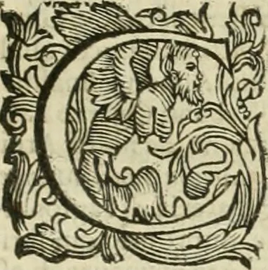 An illustration from Le sagre memorie di Ravenna antica ..., 1664, leaf 264
