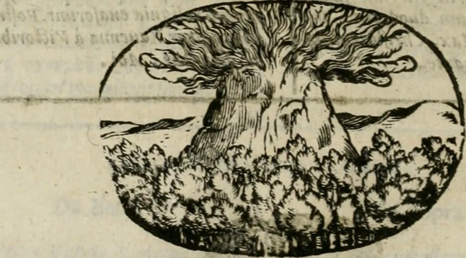An illustration from Le sagre memorie di Ravenna antica ..., 1664, leaf 275