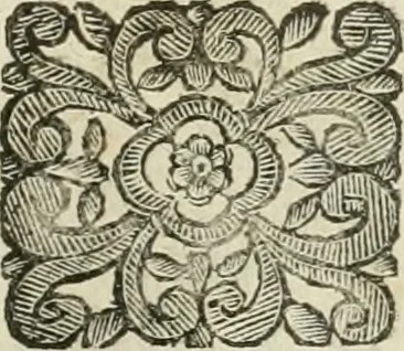 An illustration from Le sagre memorie di Ravenna antica ..., 1664, leaf 282