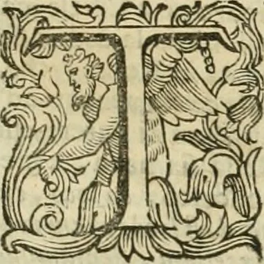 An illustration from Le sagre memorie di Ravenna antica ..., 1664, leaf 294