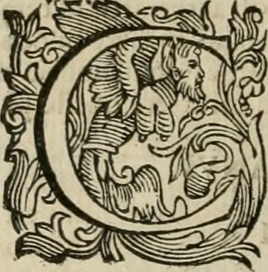 An illustration from Le sagre memorie di Ravenna antica ..., 1664, leaf 311