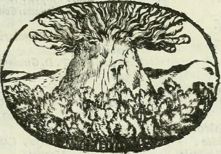 An illustration from Le sagre memorie di Ravenna antica ..., 1664, leaf 32