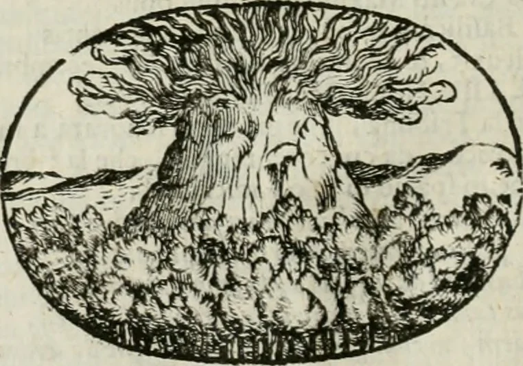 An illustration from Le sagre memorie di Ravenna antica ..., 1664, leaf 385