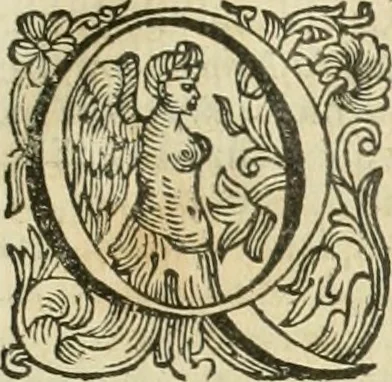 An illustration from Le sagre memorie di Ravenna antica ..., 1664, leaf 416