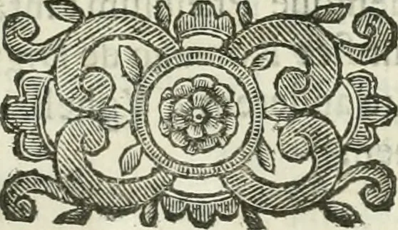 An illustration from Le sagre memorie di Ravenna antica ..., 1664, leaf 426