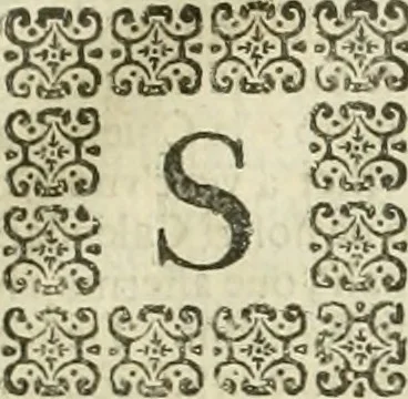 An illustration from Le sagre memorie di Ravenna antica ..., 1664, leaf 452