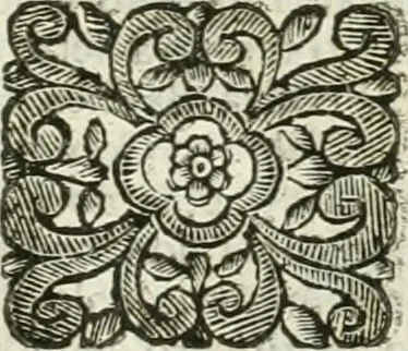 An illustration from Le sagre memorie di Ravenna antica ..., 1664, leaf 486