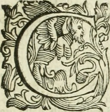 An illustration from Le sagre memorie di Ravenna antica ..., 1664, leaf 496