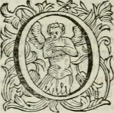 An illustration from Le sagre memorie di Ravenna antica ..., 1664, leaf 499