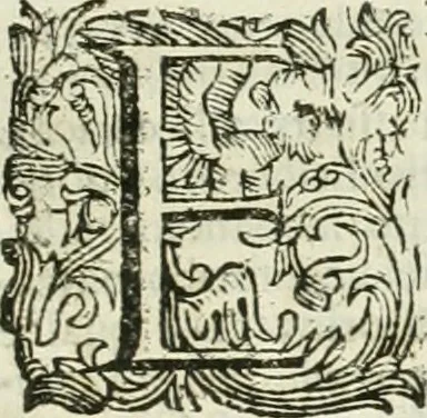 An illustration from Le sagre memorie di Ravenna antica ..., 1664, leaf 508