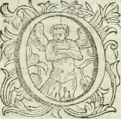 An illustration from Le sagre memorie di Ravenna antica ..., 1664, leaf 516