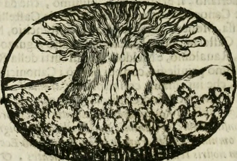 An illustration from Le sagre memorie di Ravenna antica ..., 1664, leaf 523
