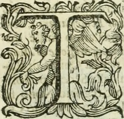 An illustration from Le sagre memorie di Ravenna antica ..., 1664, leaf 536