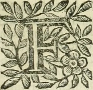 An illustration from Le sagre memorie di Ravenna antica ..., 1664, leaf 538