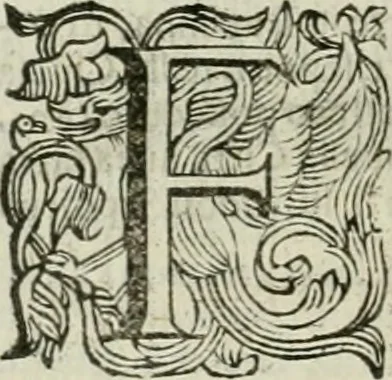 An illustration from Le sagre memorie di Ravenna antica ..., 1664, leaf 541