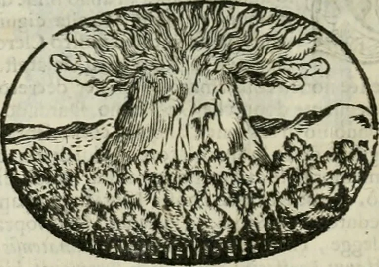An illustration from Le sagre memorie di Ravenna antica ..., 1664, leaf 545