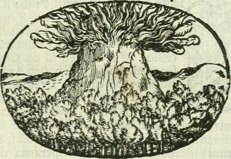 An illustration from Le sagre memorie di Ravenna antica ..., 1664, leaf 554