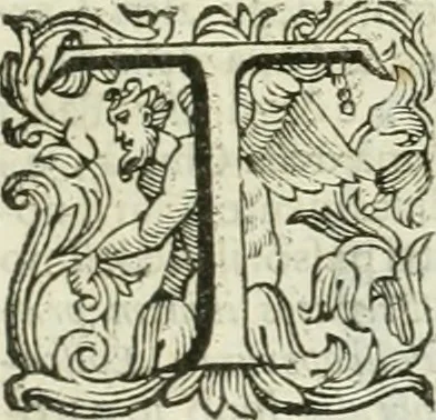 An illustration from Le sagre memorie di Ravenna antica ..., 1664, leaf 564