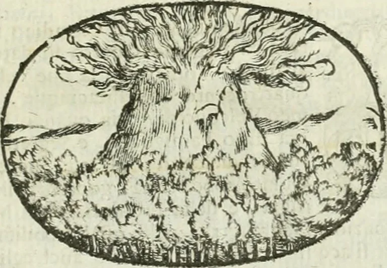 An illustration from Le sagre memorie di Ravenna antica ..., 1664, leaf 566