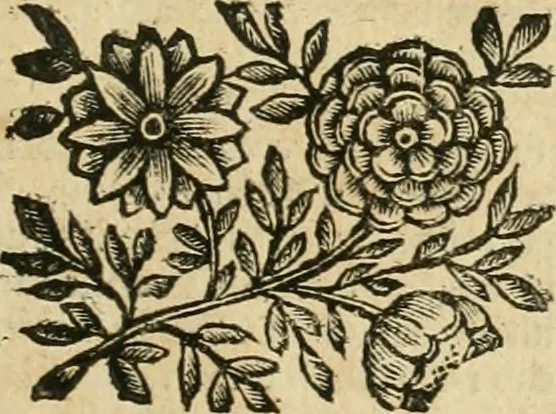 An illustration from Le sagre memorie di Ravenna antica ..., 1664, leaf 94