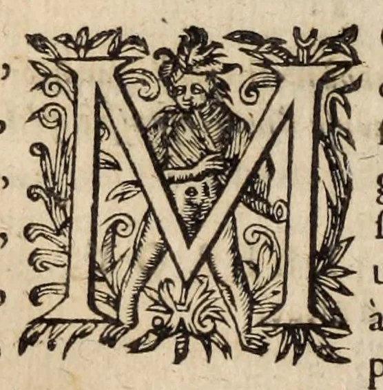 An illustration from Les ambassades et negotiations de l'illustrissime & reuerendissime cardinal Du Perron ..., 1633, leaf 132