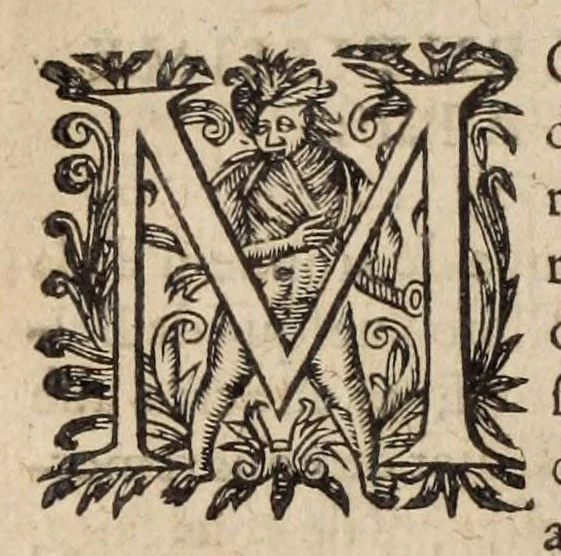 An illustration from Les ambassades et negotiations de l'illustrissime & reuerendissime cardinal Du Perron ..., 1633, leaf 168