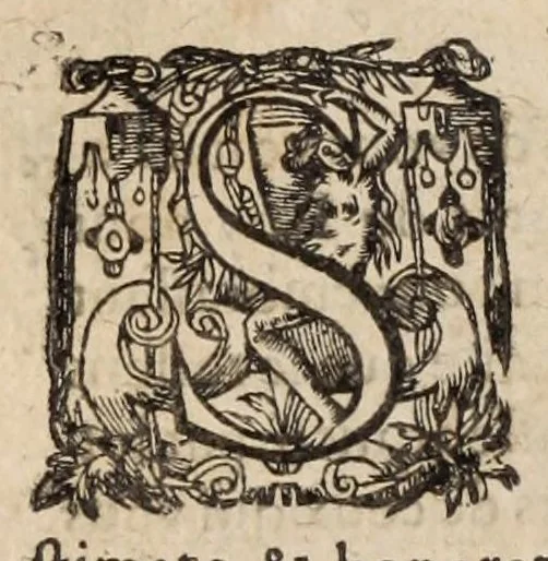 An illustration from Les ambassades et negotiations de l'illustrissime & reuerendissime cardinal Du Perron ..., 1633, leaf 296