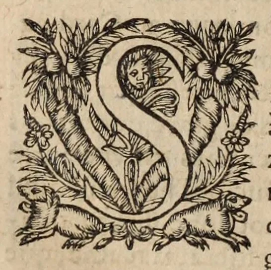 An illustration from Les ambassades et negotiations de l'illustrissime & reuerendissime cardinal Du Perron ..., 1633, leaf 302