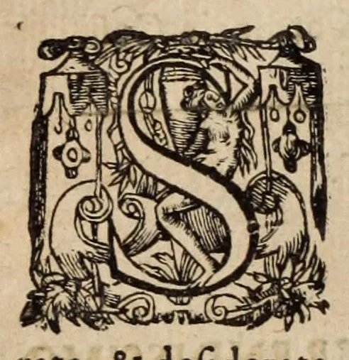 An illustration from Les ambassades et negotiations de l'illustrissime & reuerendissime cardinal Du Perron ..., 1633, leaf 328