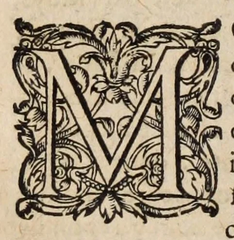 An illustration from Les ambassades et negotiations de l'illustrissime & reuerendissime cardinal Du Perron ..., 1633, leaf 602