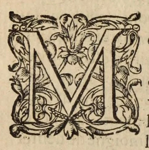 An illustration from Les ambassades et negotiations de l'illustrissime & reuerendissime cardinal Du Perron ..., 1633, leaf 638
