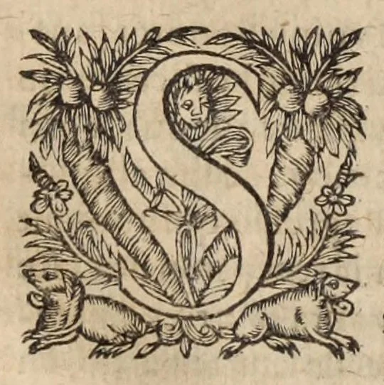 An illustration from Les ambassades et negotiations de l'illustrissime & reuerendissime cardinal Du Perron ..., 1633, leaf 64