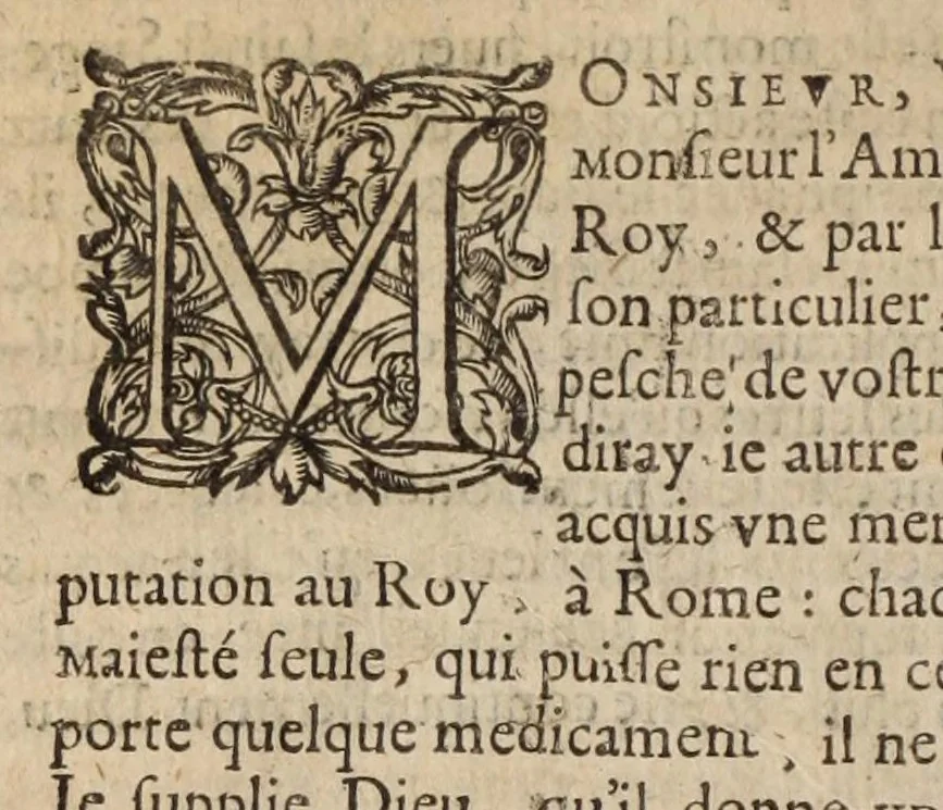 An illustration from Les ambassades et negotiations de l'illustrissime & reuerendissime cardinal Du Perron ..., 1633, leaf 664