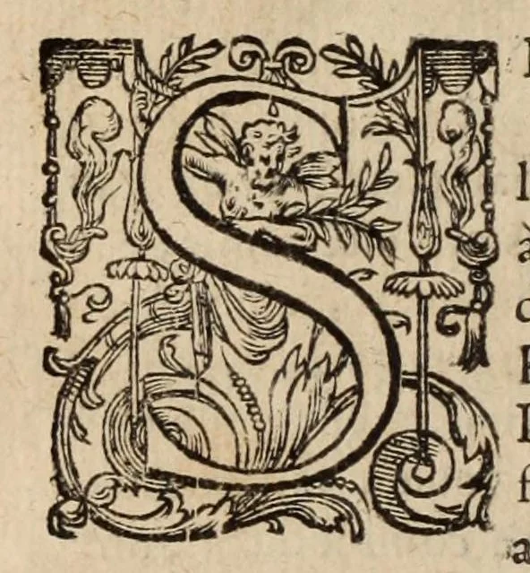 An illustration from Les ambassades et negotiations de l'illustrissime & reuerendissime cardinal Du Perron ..., 1633, leaf 666