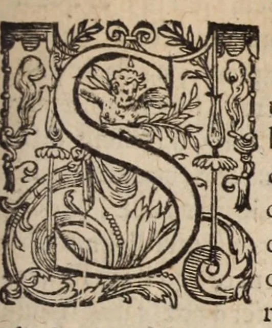An illustration from Les ambassades et negotiations de l'illustrissime & reuerendissime cardinal Du Perron ..., 1633, leaf 745