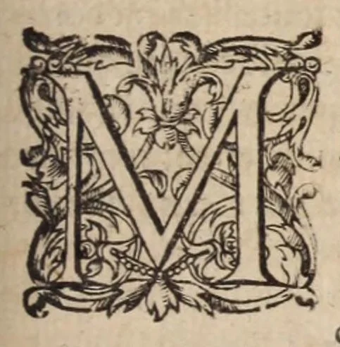 An illustration from Les ambassades et negotiations de l'illustrissime & reuerendissime cardinal Du Perron ..., 1633, leaf 747