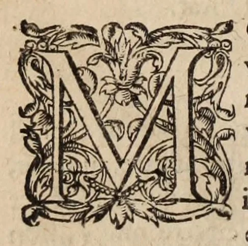 An illustration from Les ambassades et negotiations de l'illustrissime & reuerendissime cardinal Du Perron ..., 1633, leaf 764
