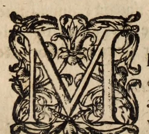 An illustration from Les ambassades et negotiations de l'illustrissime & reuerendissime cardinal Du Perron ..., 1633, leaf 806