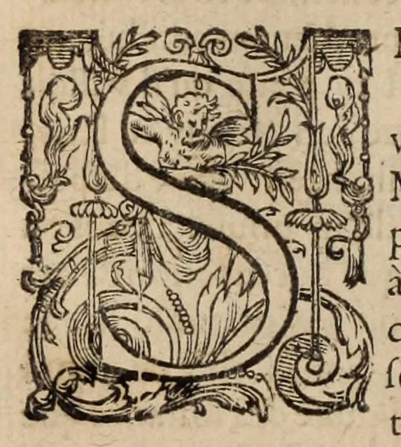 An illustration from Les ambassades et negotiations de l'illustrissime & reuerendissime cardinal Du Perron ..., 1633, leaf 822