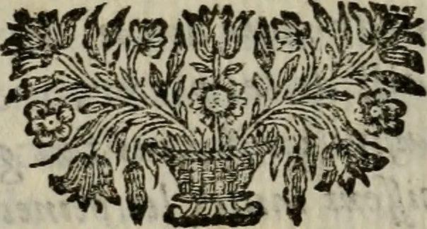 An illustration from Les amours d'une belle Angloise, ou, La vie et les avantures de la jeune Olinde : ecrites par elle mesme en forme de lettres à un chevalier de ses amis, 1695, leaf 293