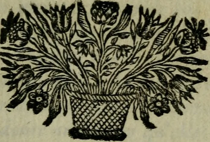An illustration from Les amours d'une belle Angloise, ou, La vie et les avantures de la jeune Olinde : ecrites par elle mesme en forme de lettres à un chevalier de ses amis, 1695, leaf 4