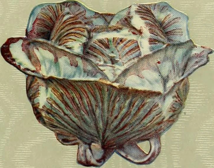 An illustration from Les anciennes faiences de Bruxelles : histoire, fabrication, produits, 1922, leaf 20